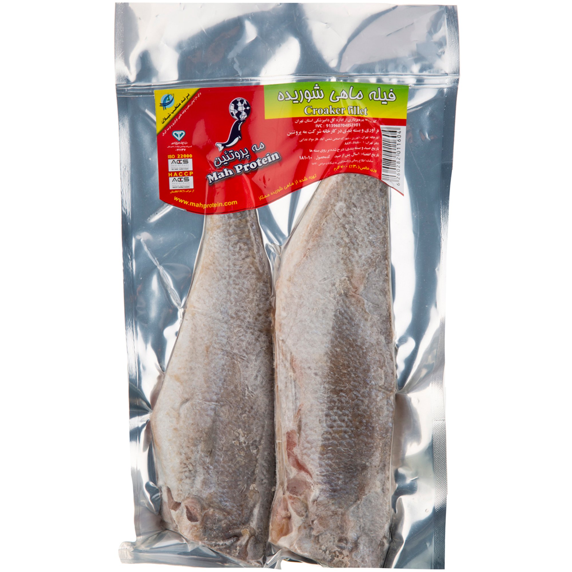 فیله ماهی شوریده منجمد مه پروتئین ۷۰۰ گرمی
